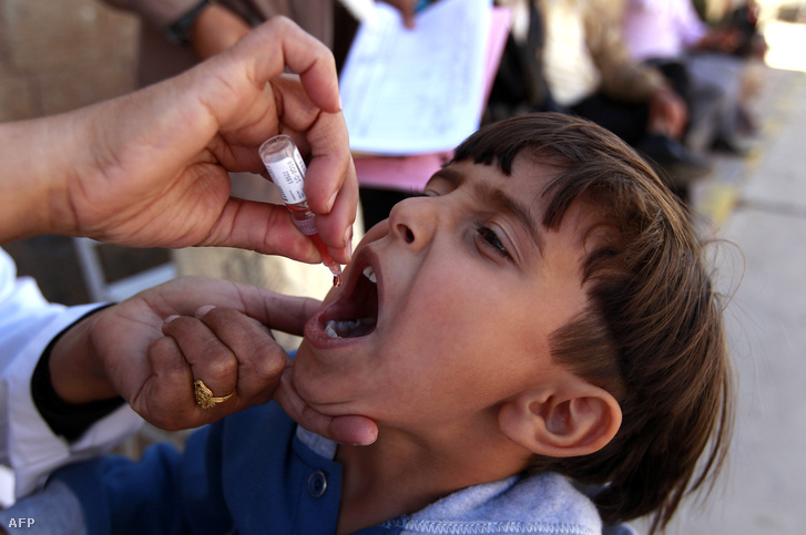 Egy jemeni kisfiú Sabin cseppeket kap a betegség megelőzésére
