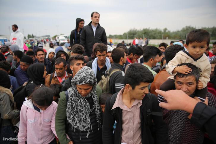 Menekültek a magyar-osztrák határnál Nickesdorfnál, 2015. szeptember 5-én.