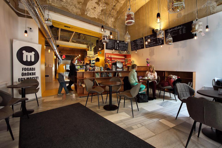 Premier Kultcafé