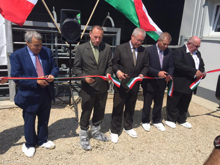 13241408 857458041032655 8102507626152074802 n