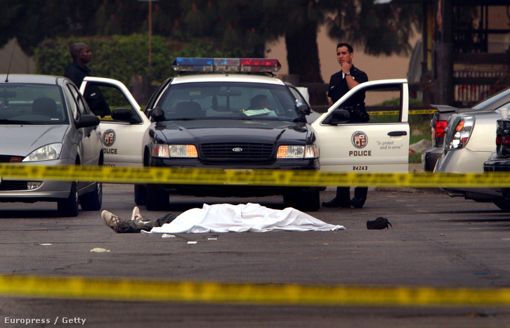 Bandatagok lövöldöztek egy étterem előtt Northridgeben, Los Angeles mellett. Egy 16 éves fiú meghalt, három másik ember megsebesült, 2004. március 19-én.