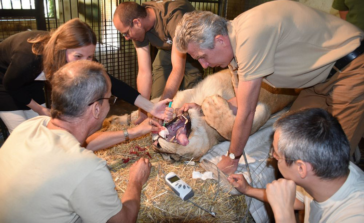 466aaea4e5810c693bb57ad772e87125