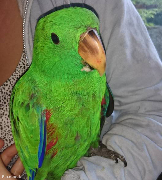 13406902 10208944165228656 6301809774039352461 n