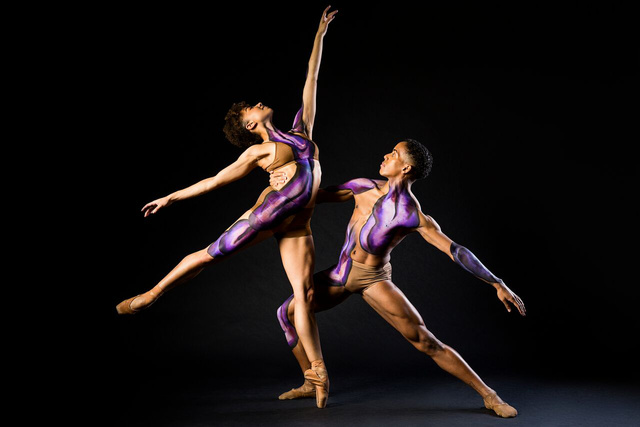 Black Iris Project