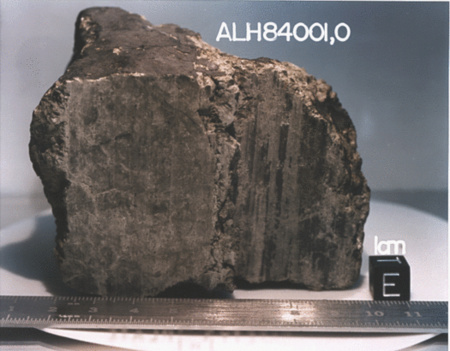 Az Allen Hills 84001 meteorit a NASA fotóján