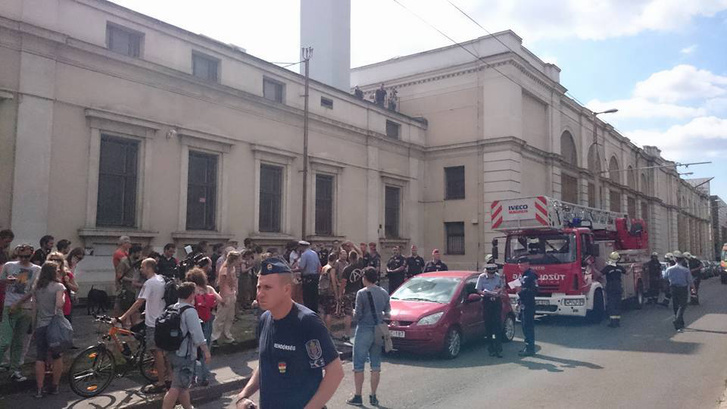 Ligetvédők a Közlekedési Múzeum tetején