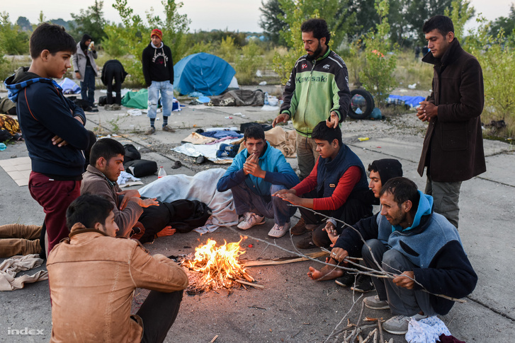 Menekültek Horgosnál 2015 szeptemberében