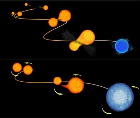 A kék kósza csillagok keletkezésének ütközéses (felül), ill. anyagelszívásos vagy "vámpír"-modellje (alul)Fotó: NASA/ESA
