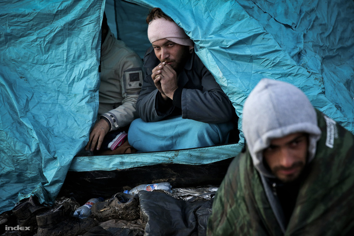 Menekültek a szerb határon 2015 októberében