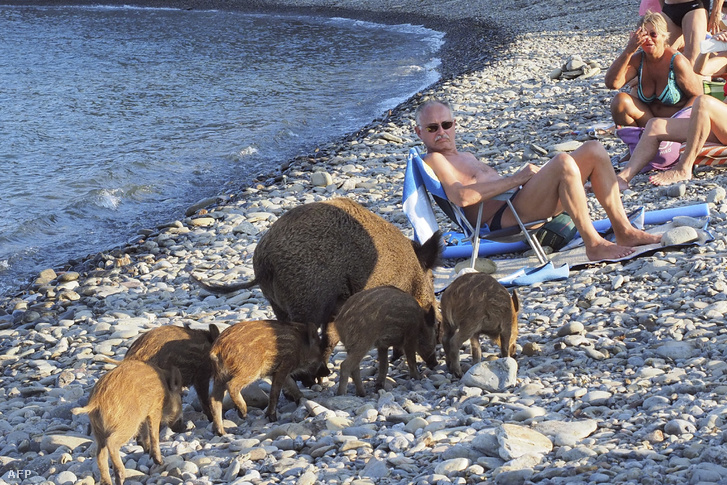 Családbarát strand