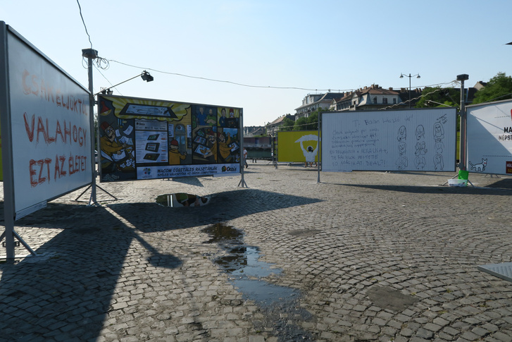 arc plakát