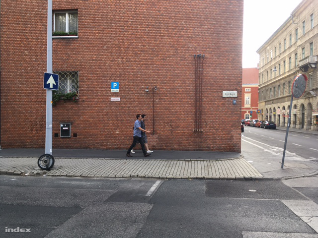 IMG 2947