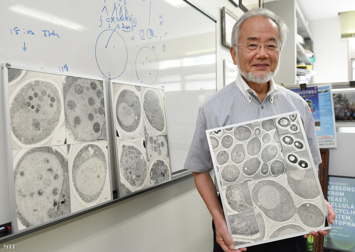 2016 júliusában Jokohamában készített kép Ohszumi Josinori japán tudósról, aki 2016. október 3-án elnyerte az orvosi Nobel-díjat.