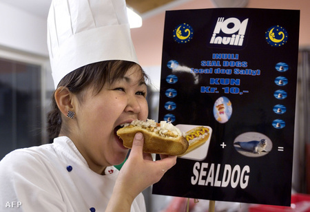 A narsaqi Inuili élelmiszeripari iskola egyik tanulója az újonnan kifejlesztett "sealdog" fókahúsos szendvicset eszi (Fotó: John Rasmussen)