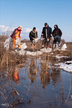 Önkéntesek homokzsákokkal zárnak le egy vízelvezető árkot egy belvízzel borított szántóföldön Ipolytarnóc határában