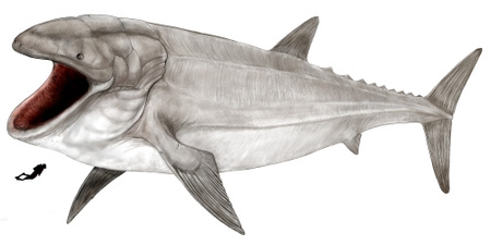Leedsichthys egy búvárhoz képest (forrás: dinosaurpicturesonline.com)