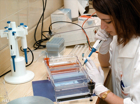 DNS-vizsgálat egy molekuláris patológiai laboratóriumban