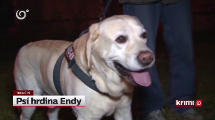 endy labrador.png
