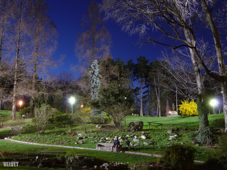 A Parco del Valentino nevű park Torinóban, 2010-ben. Ekkor még nem nagyon voltak benne szürkemókusok.