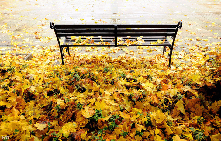 A budapesti Kossuth téren álló pad lehullott sárga levelekkel