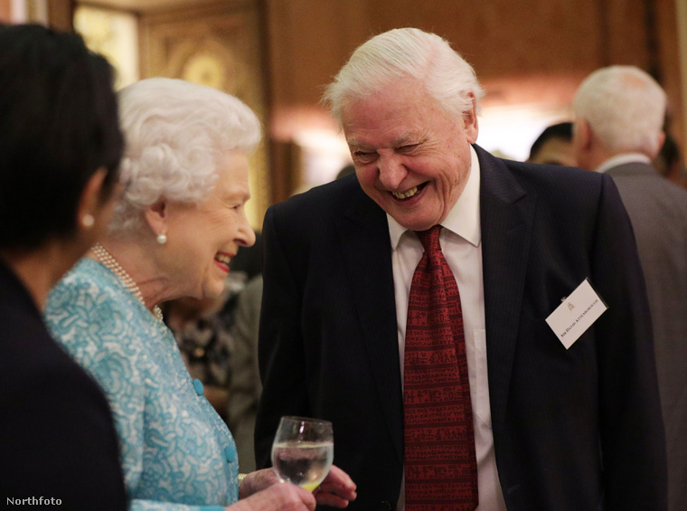 A brit királynő és Sir David Attenborough a Buckingham-palotában.