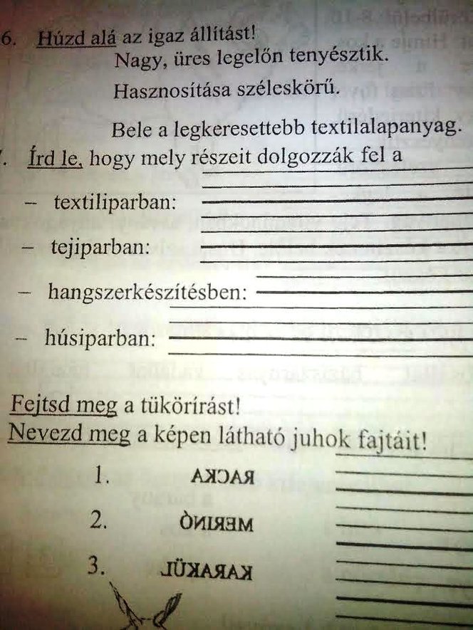 Részlet elsős tankönyvből
