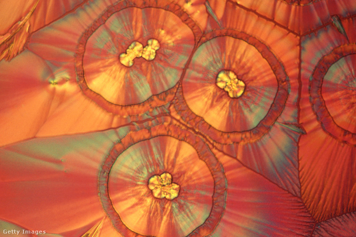 Kristályos aszkorbinsav polarizált fényben, mikroszkóp alatt
