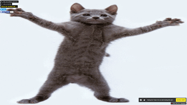 procatinato.png
