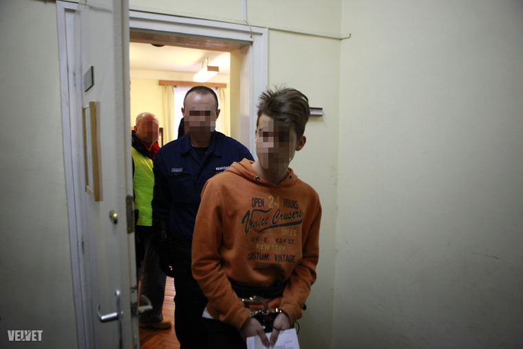 A 16 éves fiú azt állítja, hogy 14 éves barátnője kezdeményezte, hogy öljék meg annak anyját, mert az "útjukban állt".