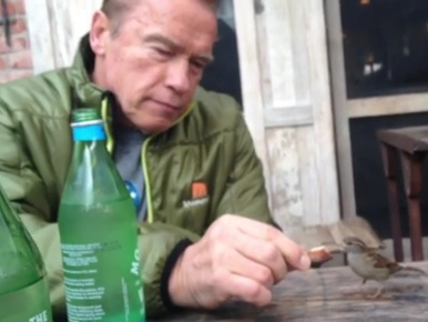 Arnold Schwarzenegger egy madárral osztotta meg reggelijét