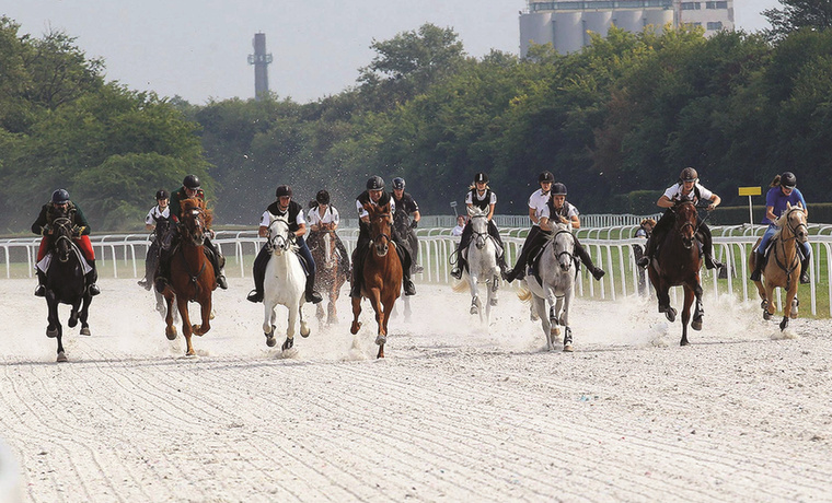 Az ország minden részéről érkeztek lovas polgárőrök a rendezvényre, és a 400 méteres galoppfutamon 12 lovas indult