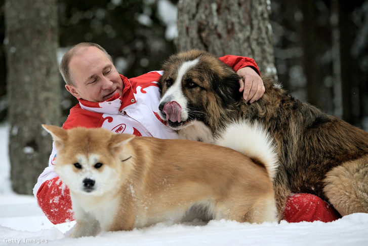Az orosz vezető szereti a kutyákat