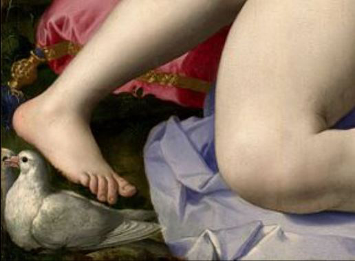 bronzino monty