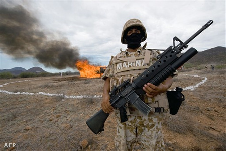 Mexikó: tengerészgyalogos őrködik hét tonna marihuána megsemmisítése mellett.