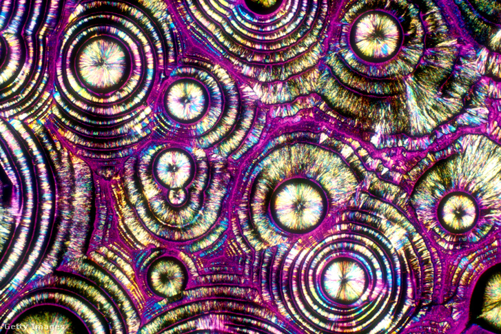 A vodka–tonik-koktél mikroszkópos képe