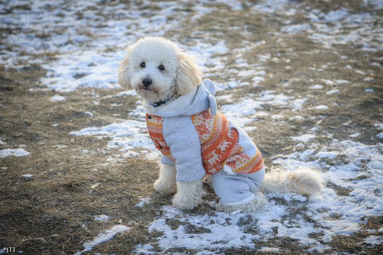 Na jó, lehet akármilyen szép a tél, azért valljuk be fel kell öltözni ebben a kutya hidegben