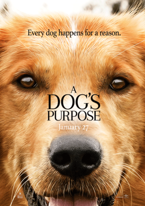 dogs-purpose-movie-2.png