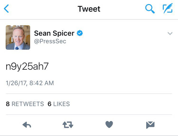 spicer