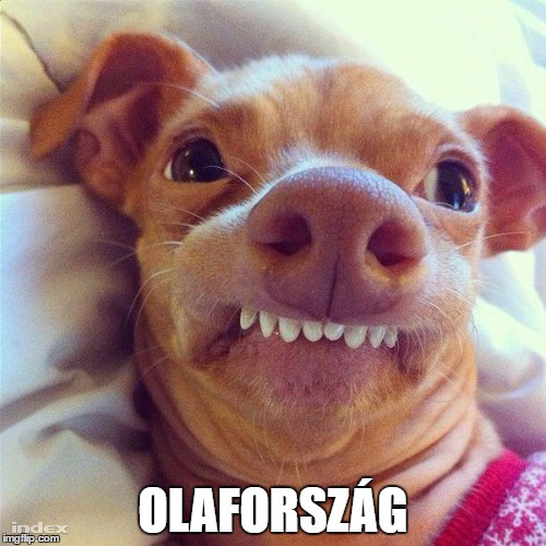 OLAF2