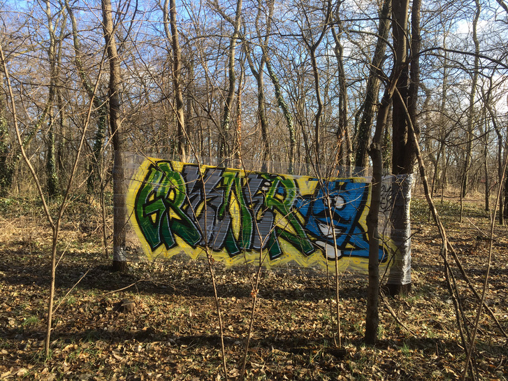 IMG 7534