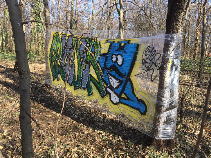 IMG 7535