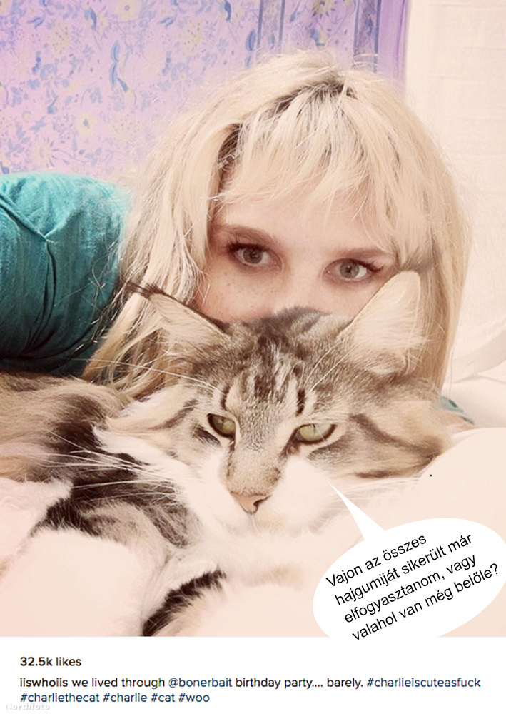 A Kesha alatt fetrengő cica úr egészen máshol jár most agyban, nem tud koncentrálni a szerelmi életre