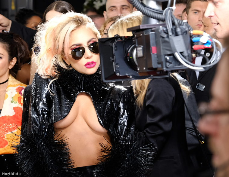 Ismét összeszedtük a hét legjobb képeit, volt miből válogatni! Lady Gaga elég merész rocker szerelésben vonult fel a Grammy-gála vörös szőnyegén, ahol nagyon közel volt ahhoz, hogy ízléstelenségi rekordot döntsön