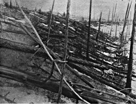 Leonyid Kulik expedíciója ezt találta 19 évvel a robbanás után a Tungusz folyónál.