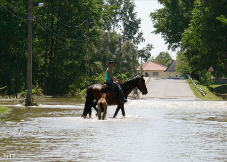 2010. május 23.: Egy nő gázol lovával egy vízzel elöntött utcán a Borsod-Abaúj-Zemlpén megyei Bőcsön. A kedvező időjárásnak köszönhetően ütemesen, bár lassan apadnak az elmúlt napokban árvizet hozó folyók. (Fotó: Balogh Attila)