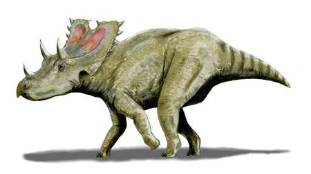 Egy Agujaceratops illusztrációja