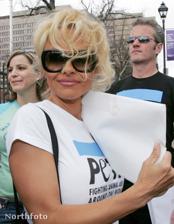 Pamela Anderson Kanada ipari fókavadászata ellen tiltakozik
