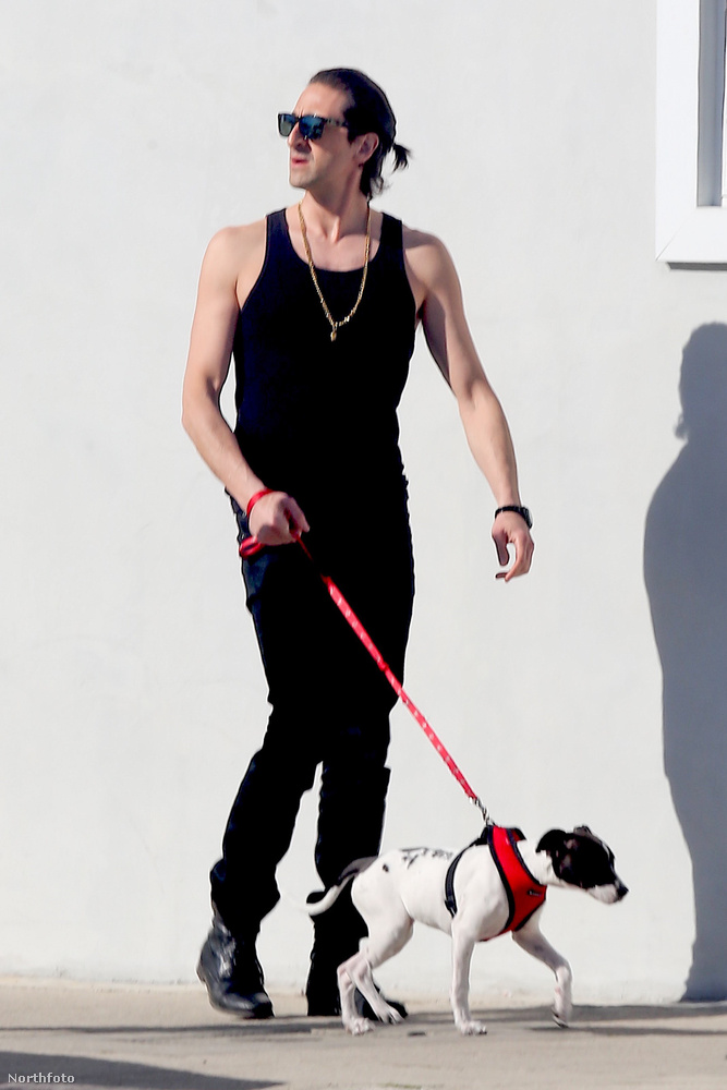 Adrien Brody kutyasétáltatás közben készült fotóin elég nehéz túltenni magunkat