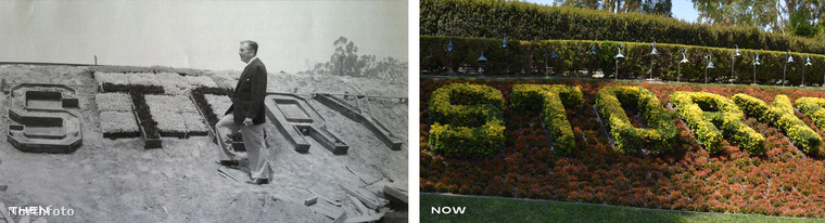 Walt Disney olyan parkot akart létrehozni, ami könnyen megközelíthető, és bőven jut hely mindenkinek