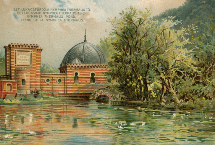 A Malom-tó környéke egy 1902-es képeslapon